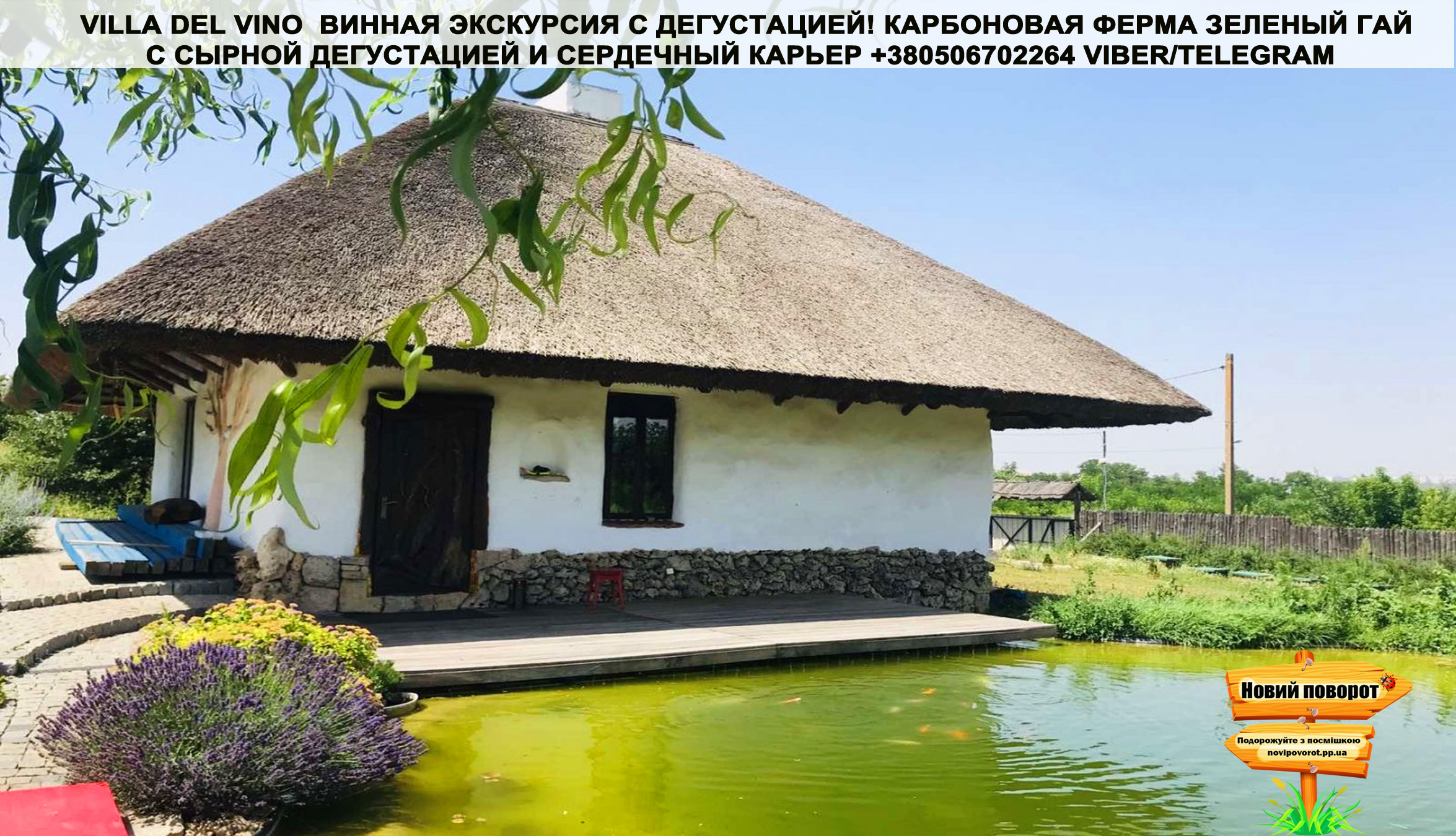 Картинка